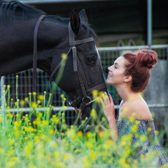 Prescott horse portrait photographer Prescott horse portrait photographer