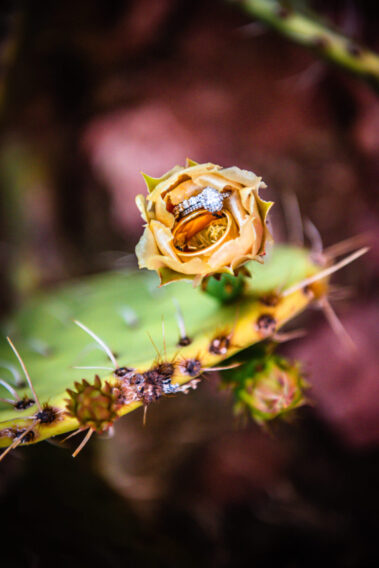 Best Arizona wedding photographer in Sedona