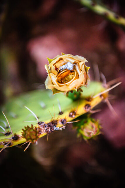 Best Arizona wedding photographer in Sedona