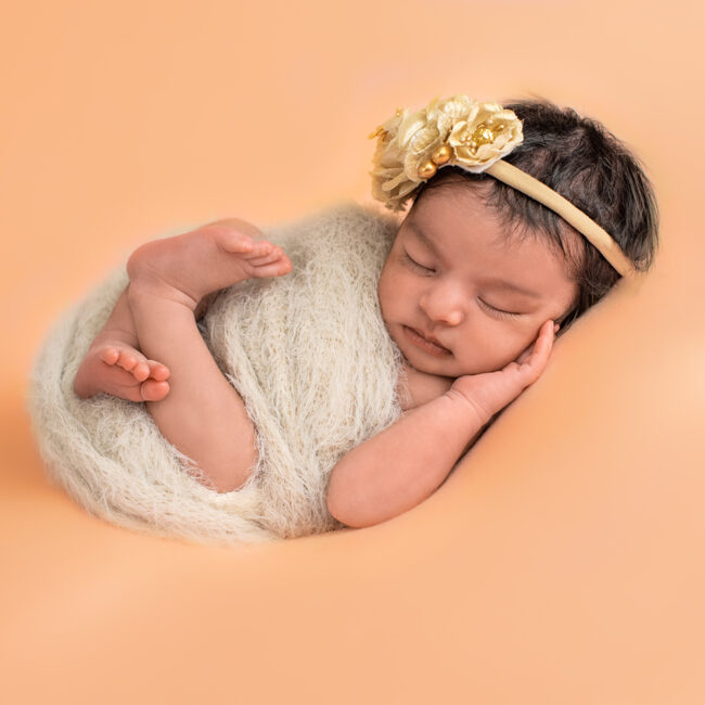 Web Newborn Web Newborn