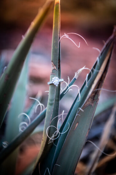 Lisa Garrett Photography, engagement photographer in Arizona