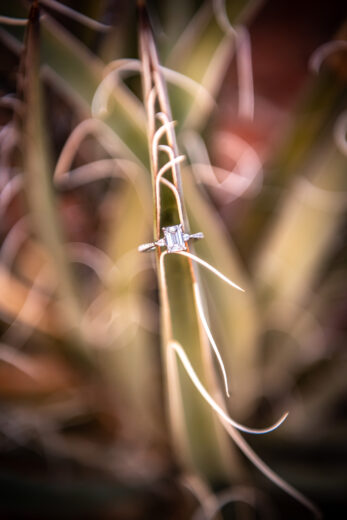 Sedona Arizona engagement portrait session